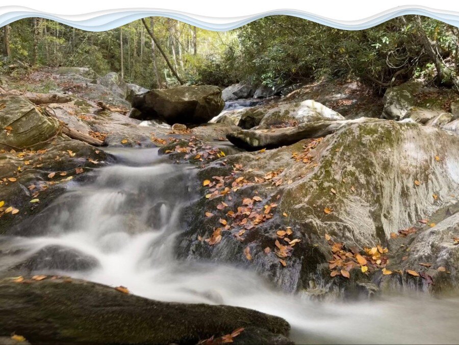 Water running over mossy boulders and fallen autumn leaves in Dugger Creek, Blue Ridge Mountains