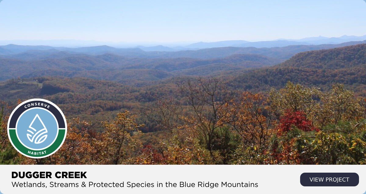 dugger creek wetlands, streams, protected species blue ridge mountains nc