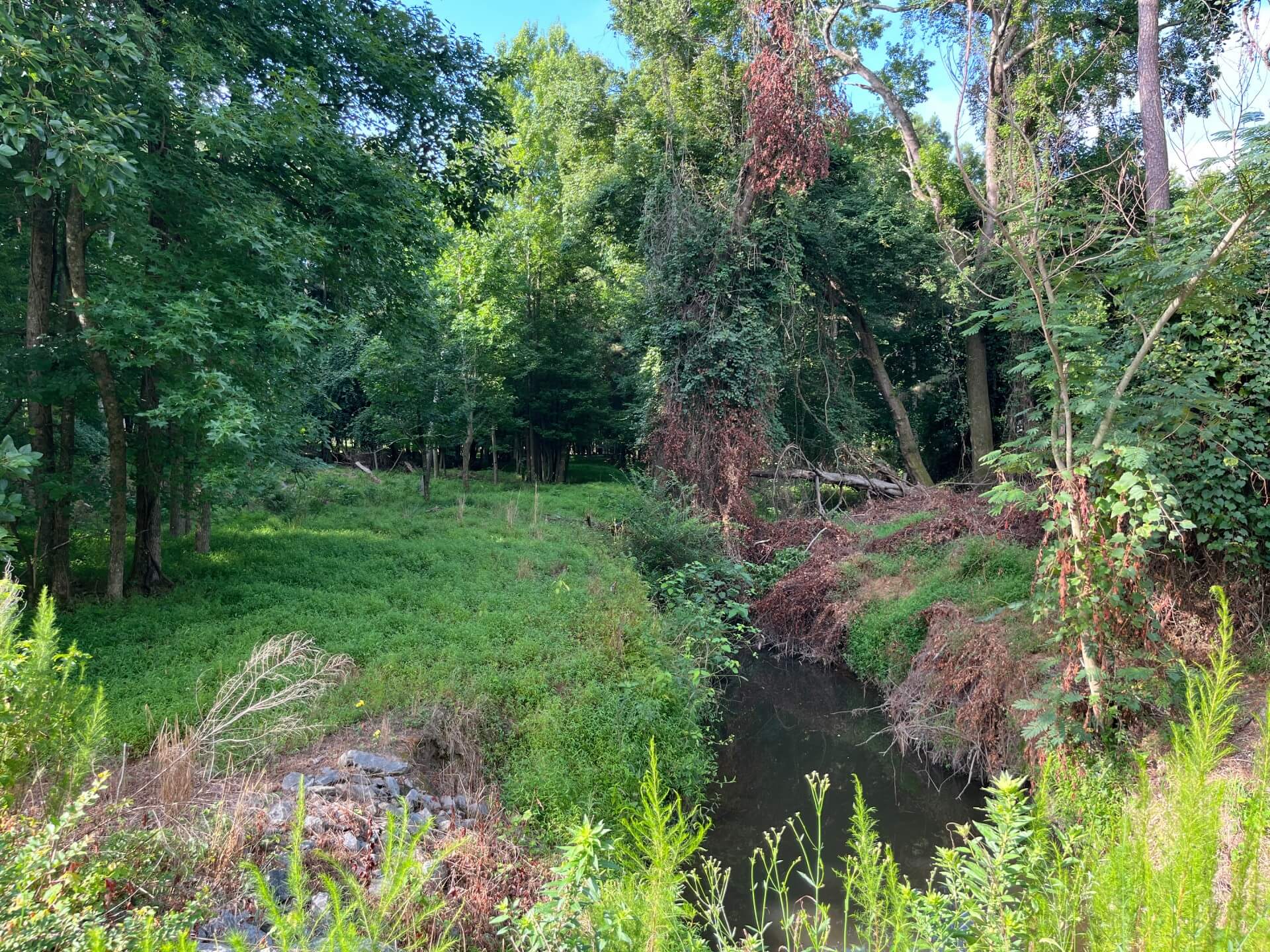 hatch hill conservation mitigation easement north carolina