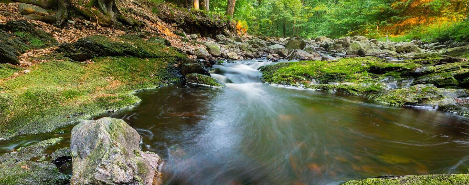 headwaters river ecology conservation