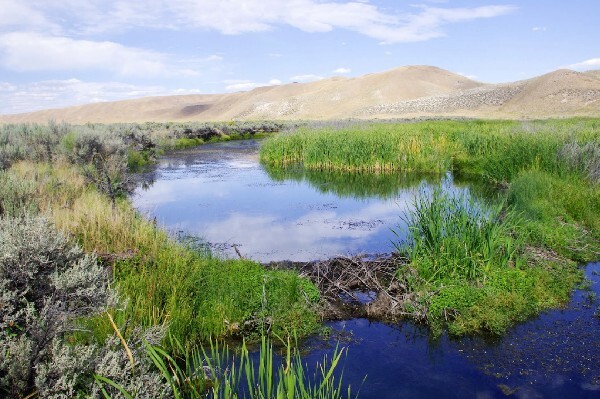 photo of private land donated for a conservation easement