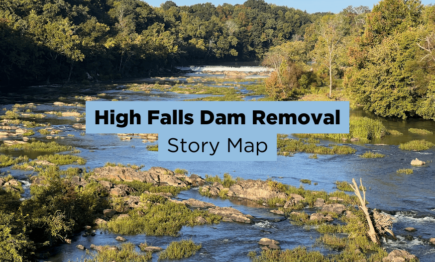 high falls dam removal