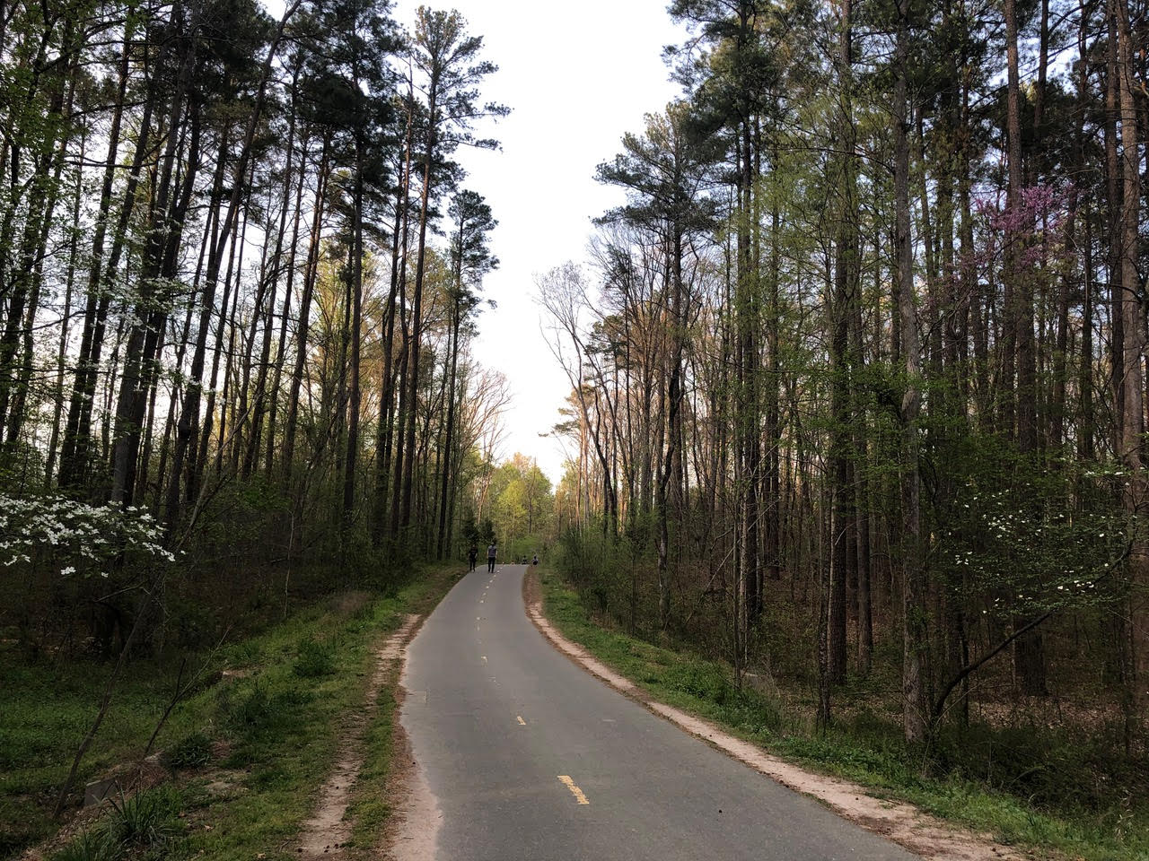 Paved American Tobacco Trail running through hardwood forest at Massey Chapel in Durham, North Carolina