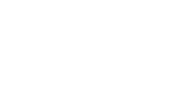 naturion box logo