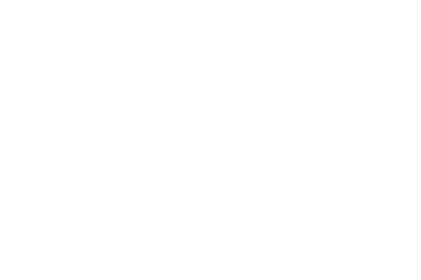 next era white logo