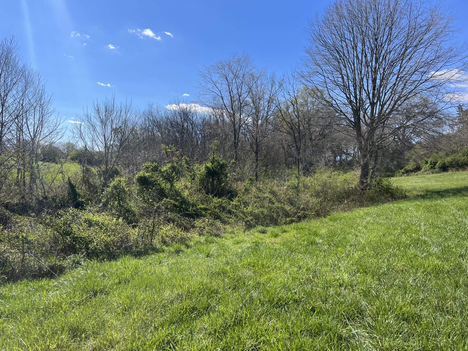 photo of beaver tail conservation easement in lincoln county nc