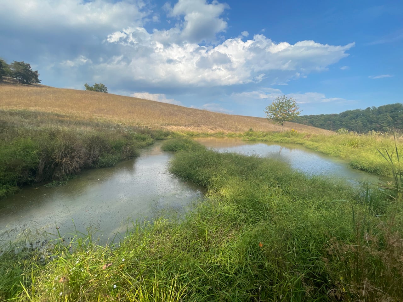 photo of camp run conservation easement for mitigation bank in west virginia