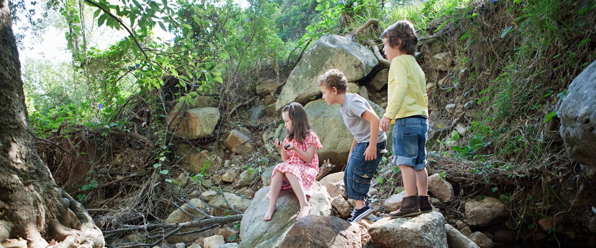 photo of children playing outdoors