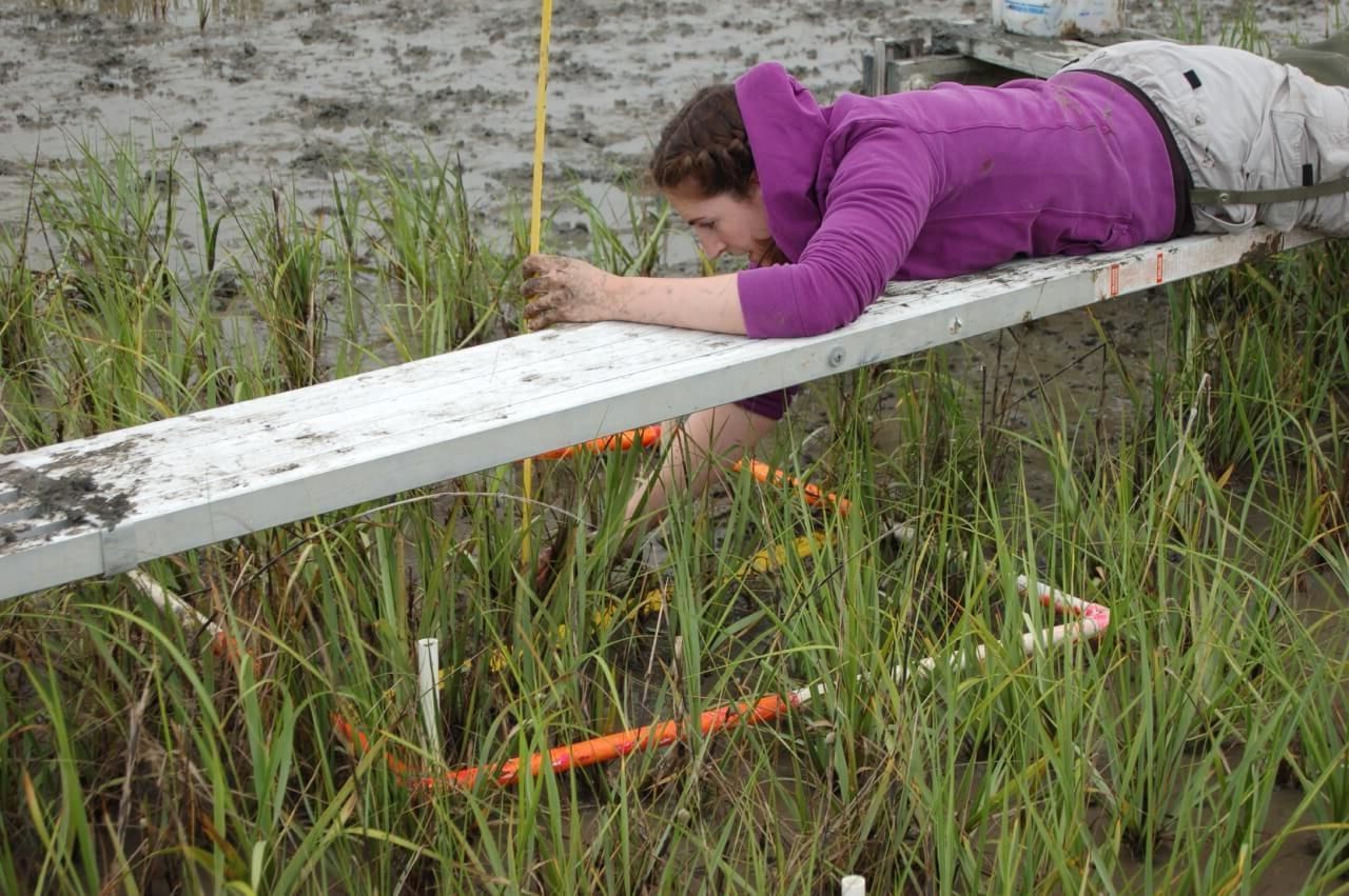 photo of christine pickens wetlands ecologist photo of christine pickens wetlands ecologist