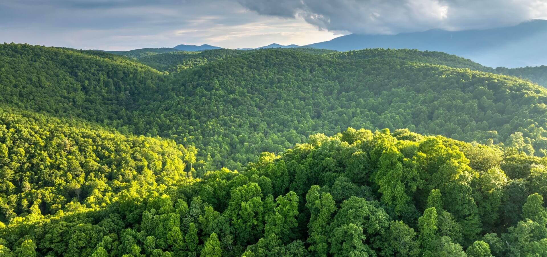 photo of conservation in north carolina mountains