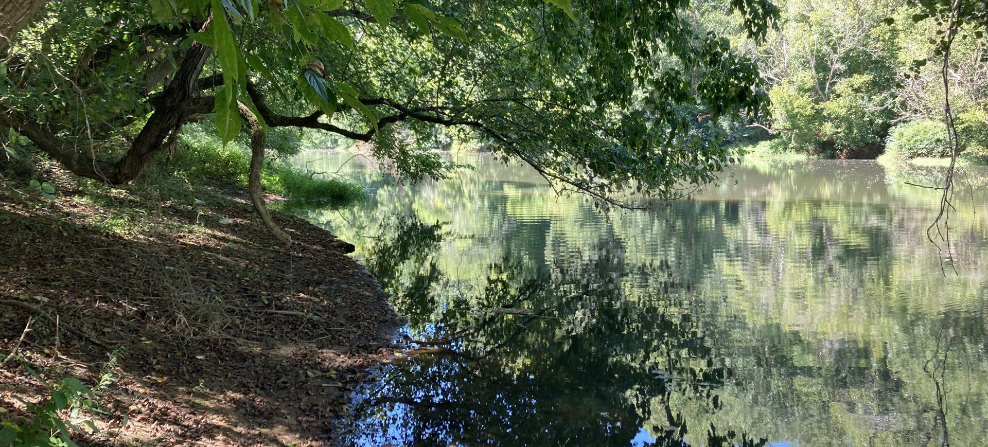 photo of deep river in ramseur