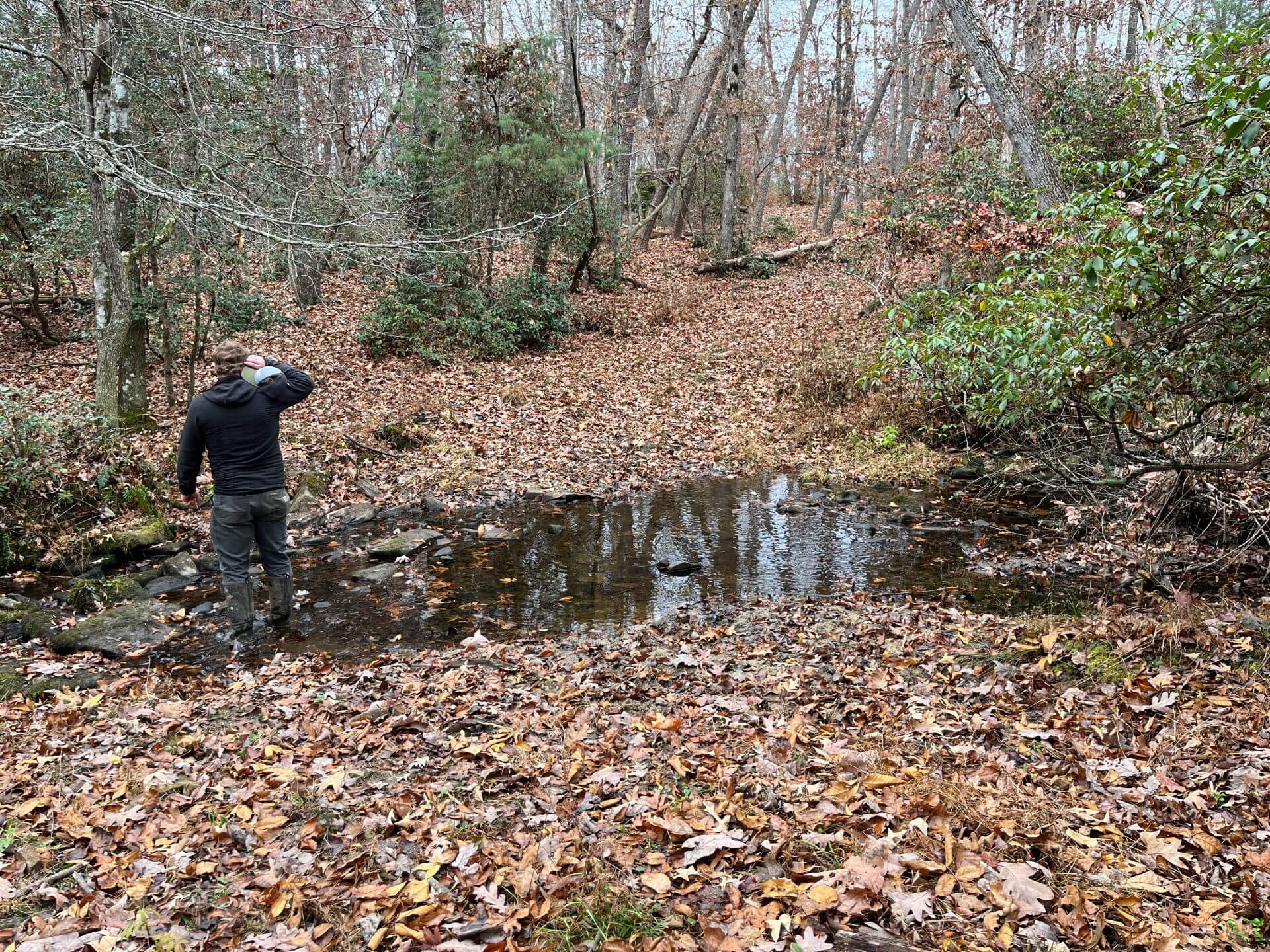 photo of high hood conservation easement in cumberland county tn