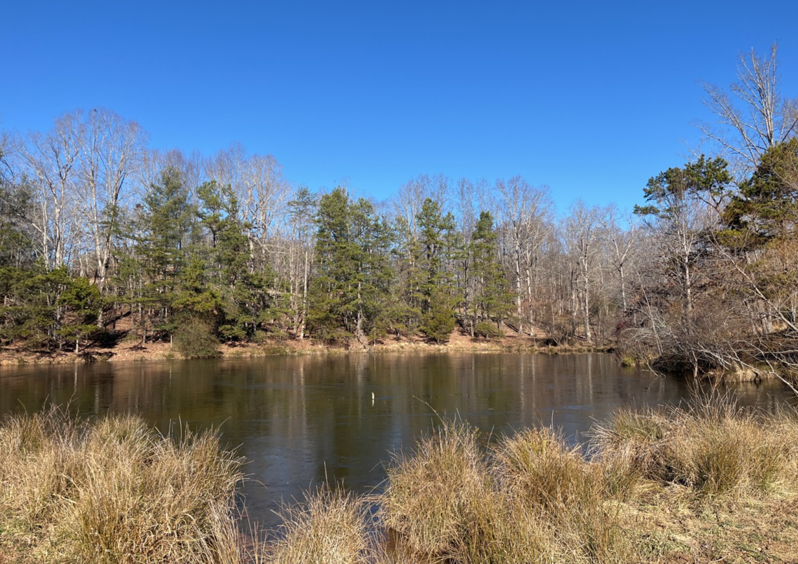 photo of miller conservation easement in north carolina