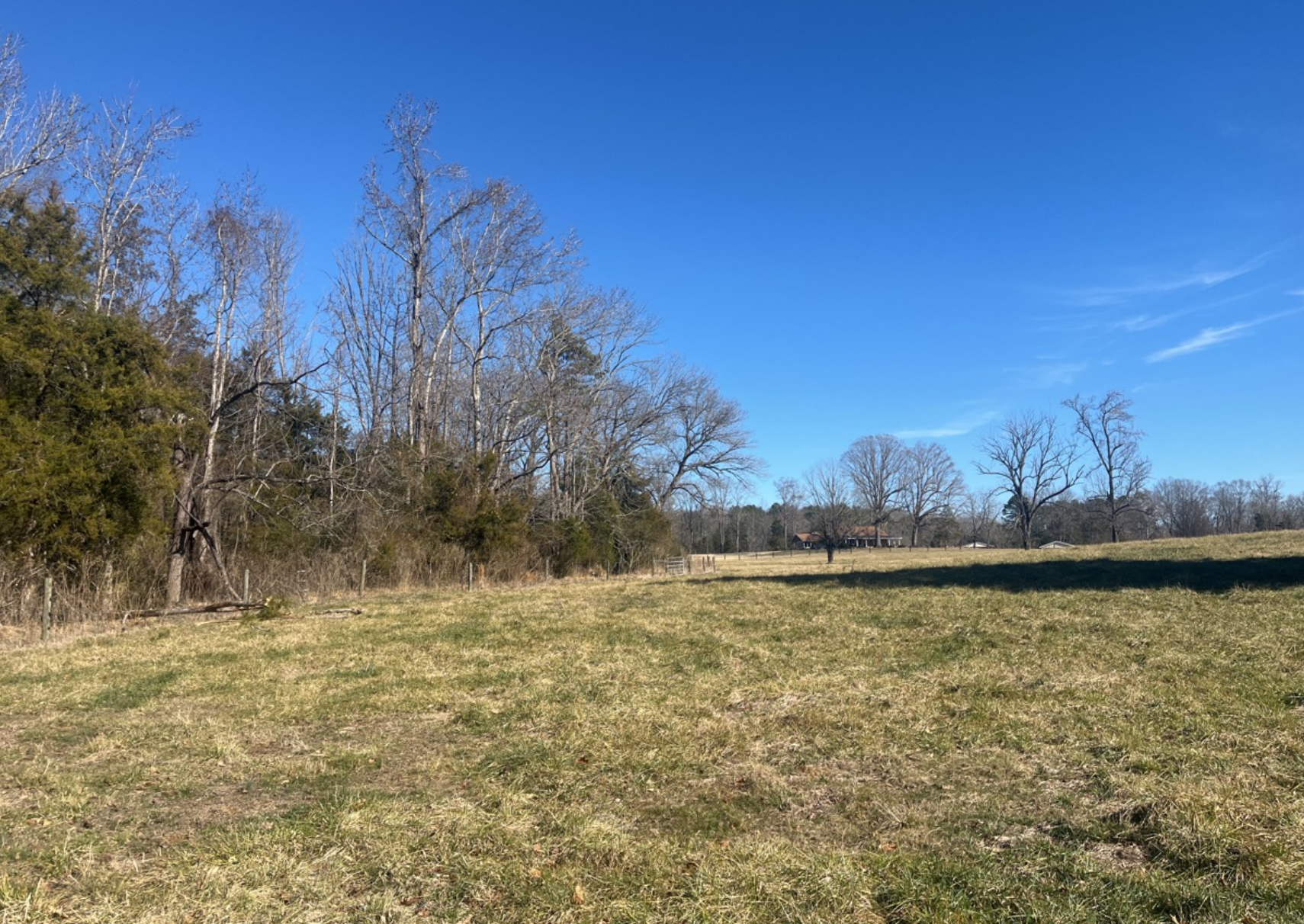 photo of reaper conservation mitigation easement in north carolina