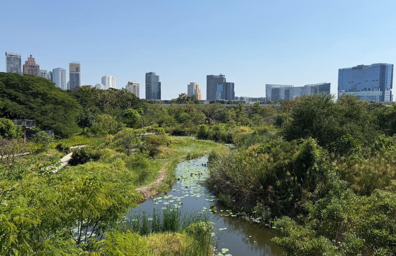 photo of wetlands being threatened by development photo of wetlands being threatened by development