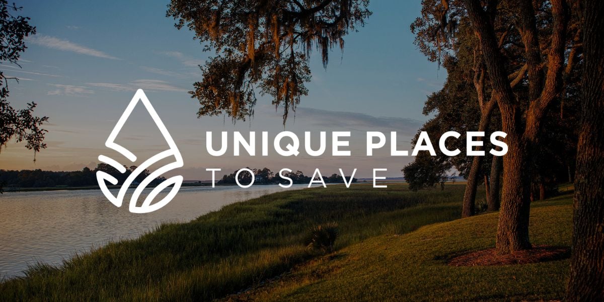 Point Farm land conservation easement and wetland mitigation
