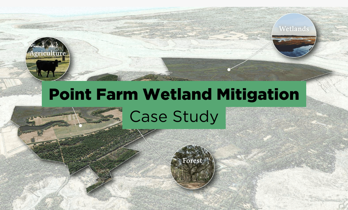 point farm wetland mitigation banking project case study
