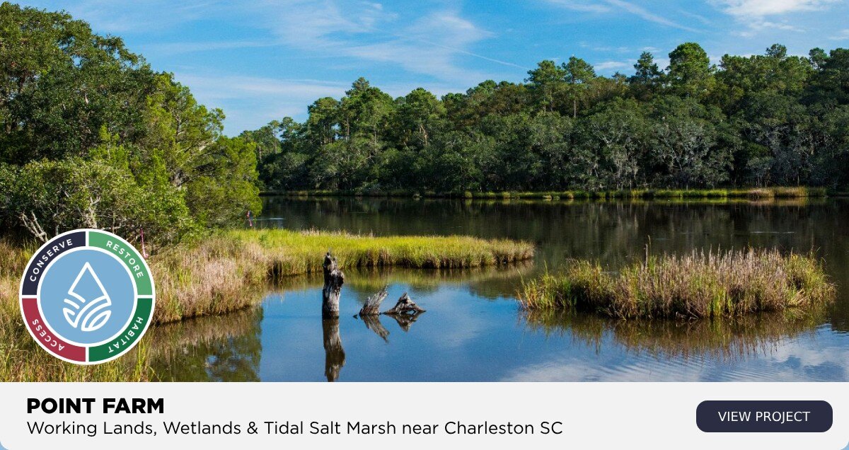 point farm working lands, wetlands, tidal salt marsh charleston south carolina