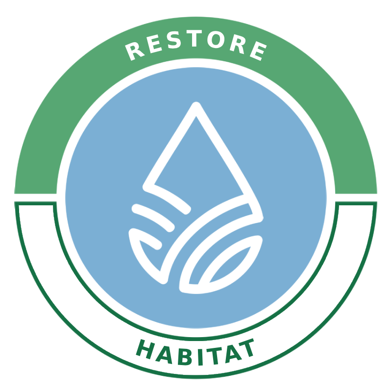 restore-1-badge