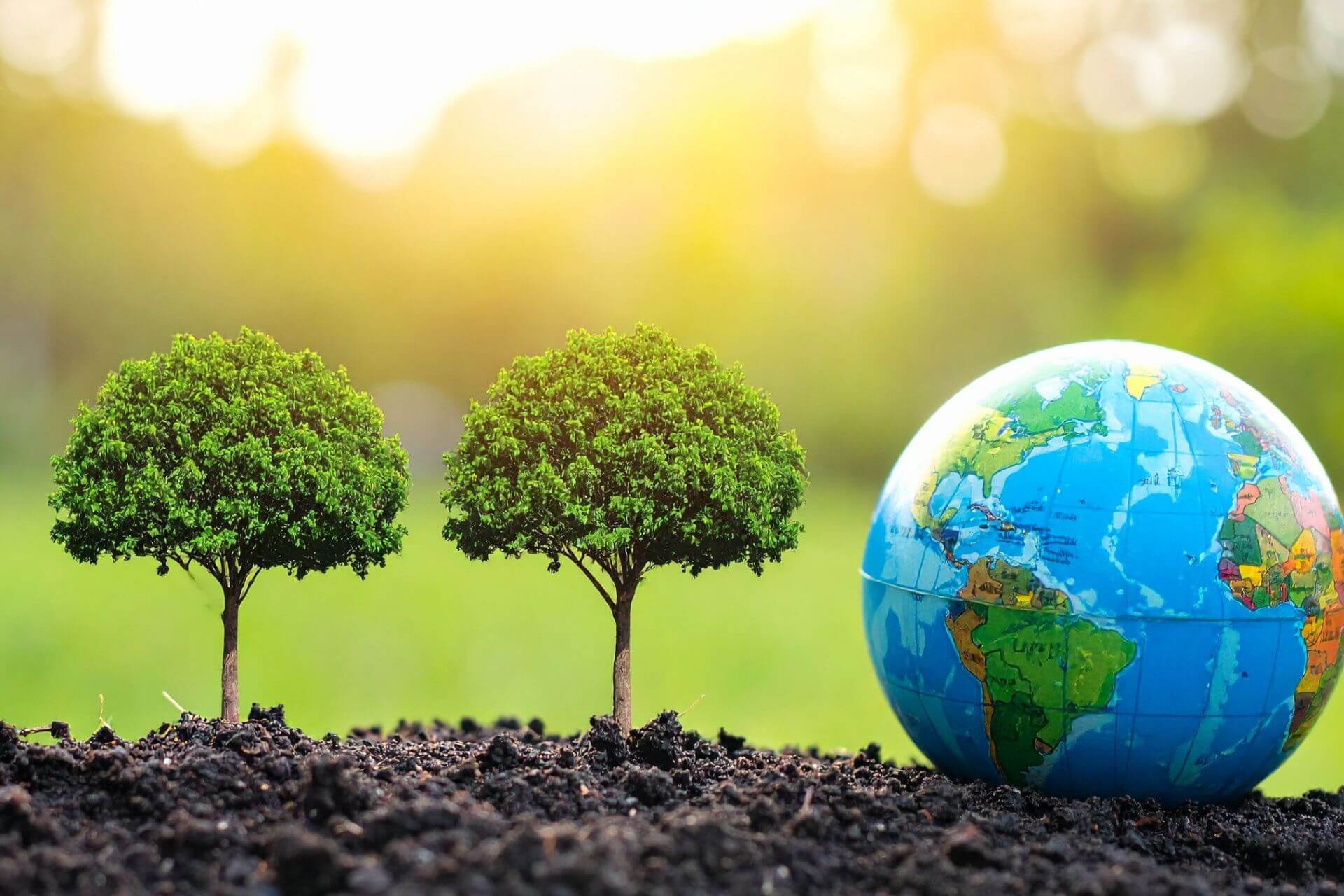 the right conservation non-profit partner